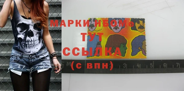индика Баксан
