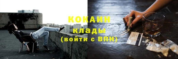 индика Баксан
