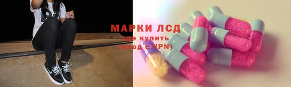 индика Баксан