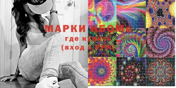 индика Баксан