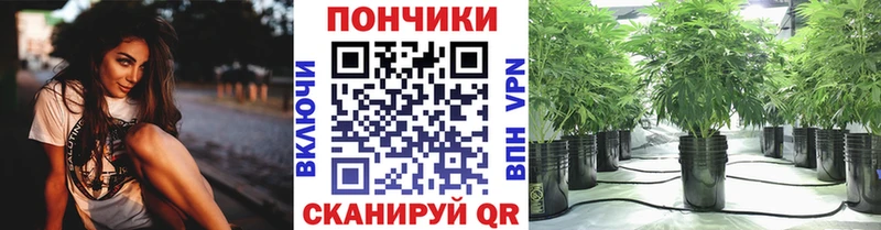 Каннабис конопля  Пролетарск 